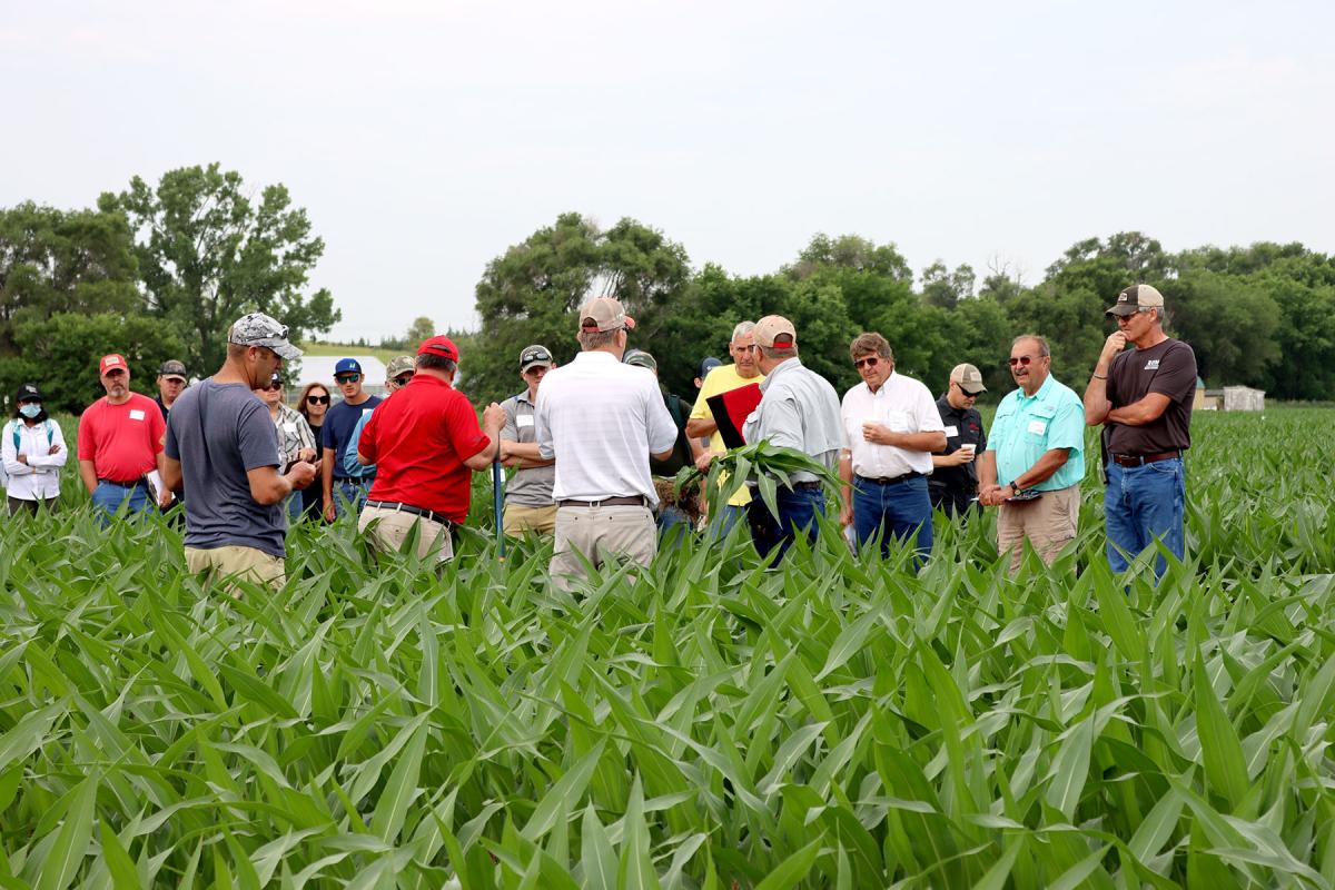 A group of TAPS participants discuss the program in a field of growing corn.